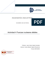 Actividad 5 - Fuerzas Nucleares Débiles - Tema 3