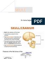 1.intoduction of Skull