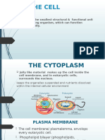 2.cell Membrane