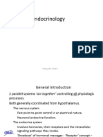 Endocrine Physiology