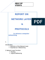 Report On Network Layer and Protocols