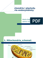 Mitochondria I Plastydy