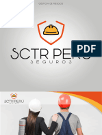 Portafolio de SCTR