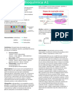 Bioquimica A1