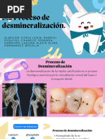 3.2 Proceso de Desmineralización.