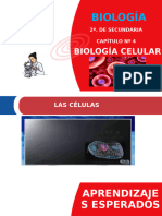 Capítulo - 4 - Biología Celular