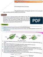 To Preparea Temporary Mount of A Leafpeel To Show Its Stomata. Materials Required Slide, Cover Slips, Petridish, Needles, Brush and Forceps