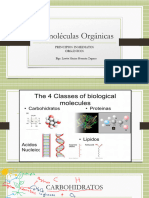 Biomoléculas Orgánicas - Carbohidratos