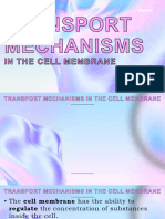 Cell Transport