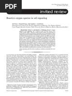 Reactive Oxygen Species in Cell Signaling