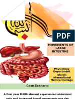 Movement of Large Intestine - Flippclassroom