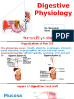 Digestive Physiology