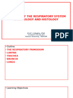 Respiratory System