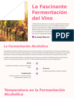 La Fascinante Fermentacion Del Vino