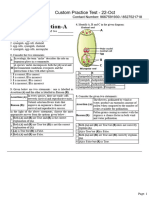 Custom Practice Test - 22-Oct