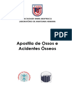 Apostila de Ossos e Acidentes Ósseos 2020