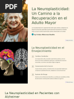 La Neuroplasticidad: Un Camino A La Recuperación en El Adulto Mayor