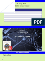 LIFS 1902 CY1 Nervous System