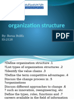 Organization Structure 3