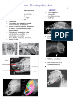 Radiologia Do Sistema Musculoesquelético Axial