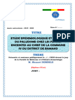 Épidémio Palu Grossesse Mali 2019