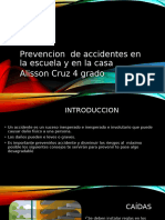 Prevencion Alisson Cruz 1