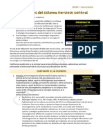 Microbiologia-Infecciones Del Sistema Nervioso Central - Microbiologia UABP8