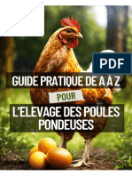 MF Tout Bon A4POULE PONDEUSE BIBLE Compressed-1