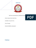 Copia de Informe de Adm de Empresas - Docx 2