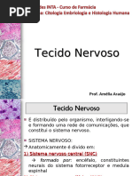 Tecido Nervoso