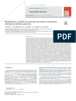 Phosphogenesis Aragonite Fan Formation A