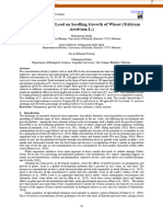 The Influence of Lead On Seedling Growth of Wheat (Triticum Aestivum L.)