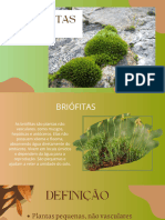 Brown Abstract Aesthetic Group Project Presentation - 20241020 - 100333 - 0000