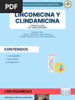 Lincomicina y Clindamicina