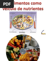 Os Alimentos Como Veículo de Nutrientes