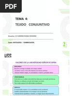 Tejido Conjuntivo