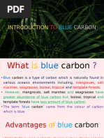 On Blue Carbon