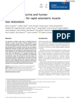 Biofabricating Murine and Human Myo-Substitutes For Rapid Volumetric Muscle Loss Restoration