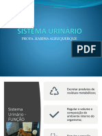 Aula Fisiologia Do Sistema Urinário