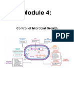 Module 4 - Control of Microbial Growth (Notes)