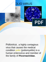 Polio Virus 1