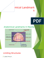 Anatomical Landmarks