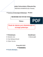 Rapport de Stage