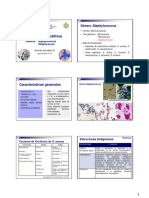 Tema 4. Cocos Gram + (Staphylococcus, Streptococcus)