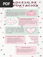 Infografia Proceso de Importacion