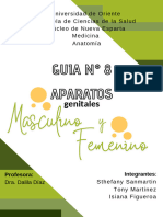 Guía N 8 PDF