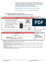 2-Rôle Du Muscle Strié Squelettique