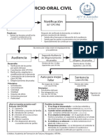 Esquema Juicio Oral