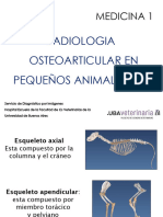 4 Campus 2020 OSTEOARTICULAR PEQUEÑOS PARTE 1