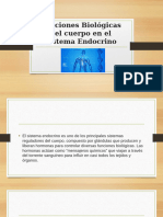 Funciones Biológicas Del Cuerpo en El Sistema Endocrino - Allison Cordova Colan